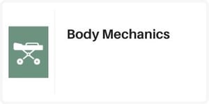 catalog-body-mechanics