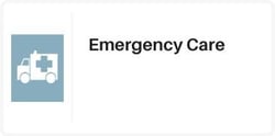 catalog-emergency-care