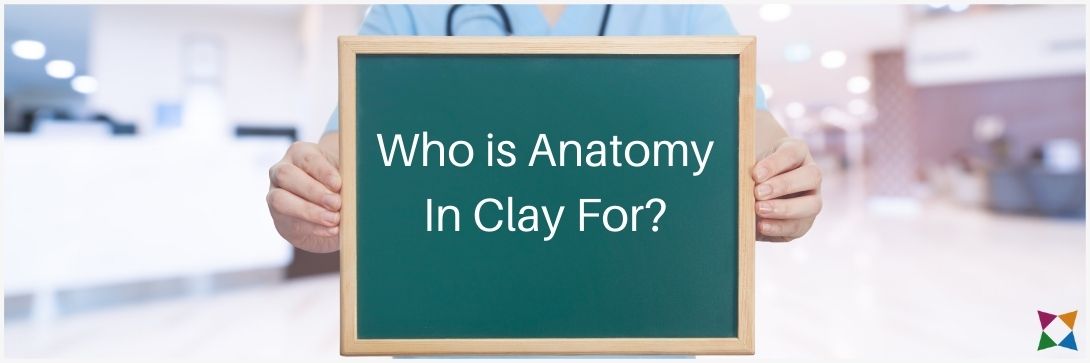 anatomy-in-clay-curriculum-fit