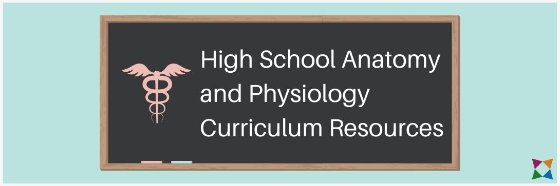 4 Best High School Anatomy and Physiology Curriculum Resources