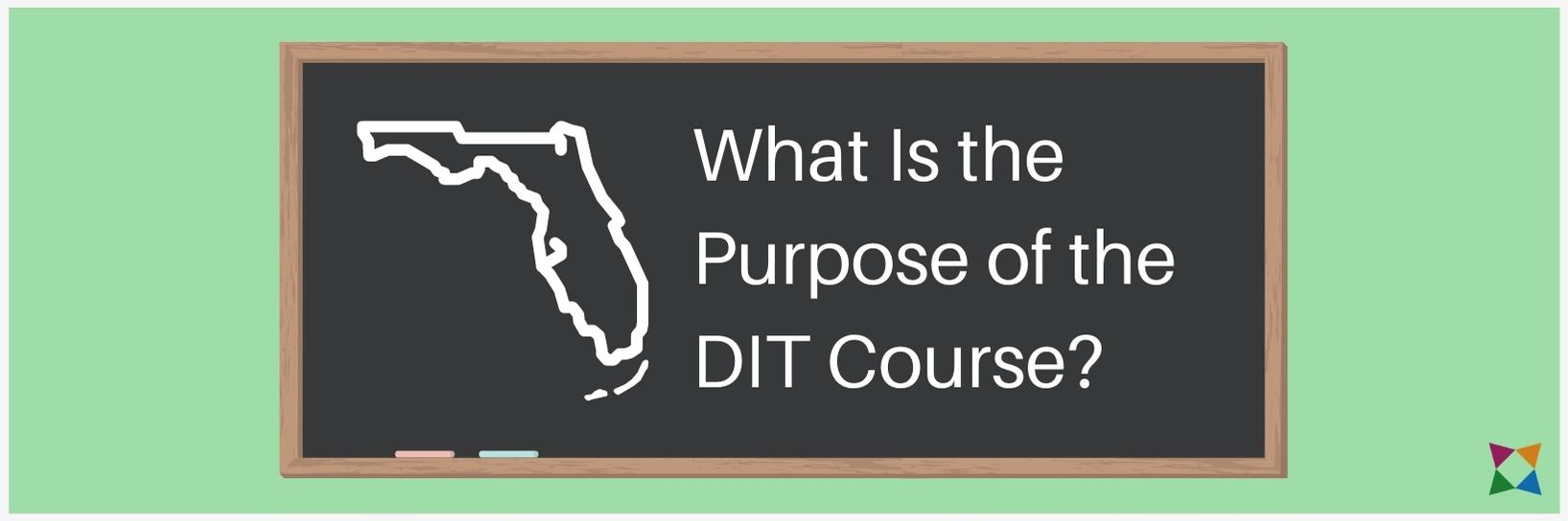 Florida Digital Information Technology Course Purpose