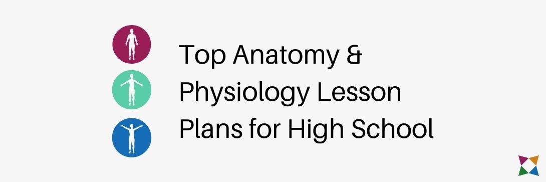 3 Best Anatomy and Physiology Lesson Plans for High School